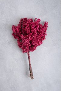 Couronne decoratiemateriaal pepperberry cerise