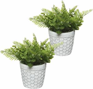 Decoris 2x stuks varen kunstplantje nepplant in pot 25 cm Kamerplanten Kunstplanten