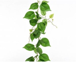 Decoris Groene klimop kunstplant slinger 220 cm Kunstplanten