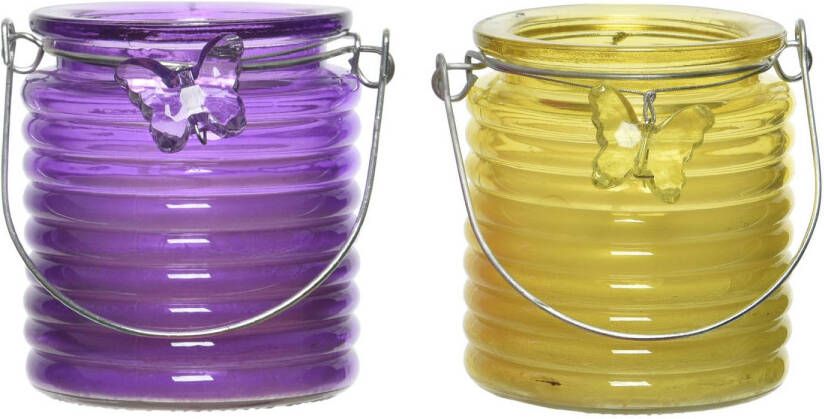 Decoris Set van 2x stuks citronella anti muggen kaarsen windlicht paars en geel 20 branduren geurkaarsen