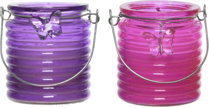Decoris Set van 2x stuks citronella anti muggen kaarsen windlicht paars en roze 20 branduren geurkaarsen