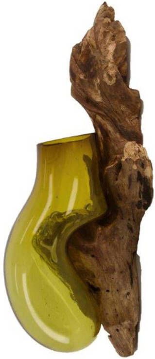 Dijk Natural Collections DKNC Hangende root met glas Wellington ca. 19x17x50 cm Bruin