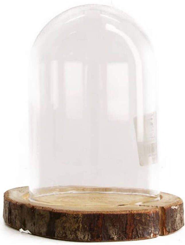 Dijk Natural Collections stolp glas houten bruin plateau D13 x H17 5 cm Decoratieve stolpen