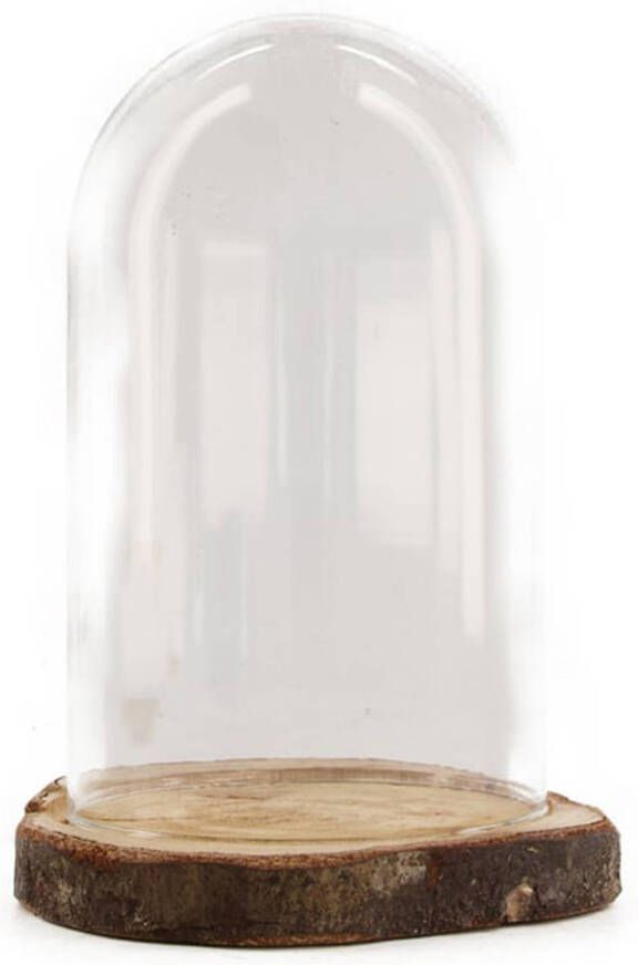 Dijk Natural Collections stolp glas houten bruin plateau D17 x H22 cm Decoratieve stolpen