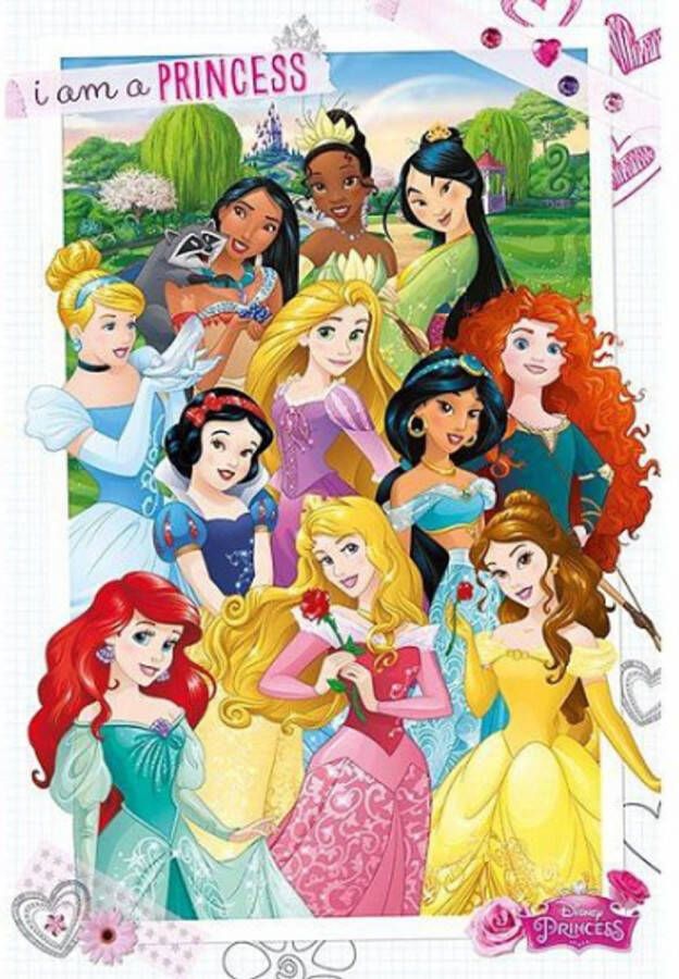 Disney Poster prinsessen 61 x 91 5 cm