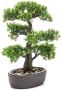 Shoppartners Kantoor kunstplant Bonsai boom in bruine pot 43 cm Kunstplanten - Thumbnail 1