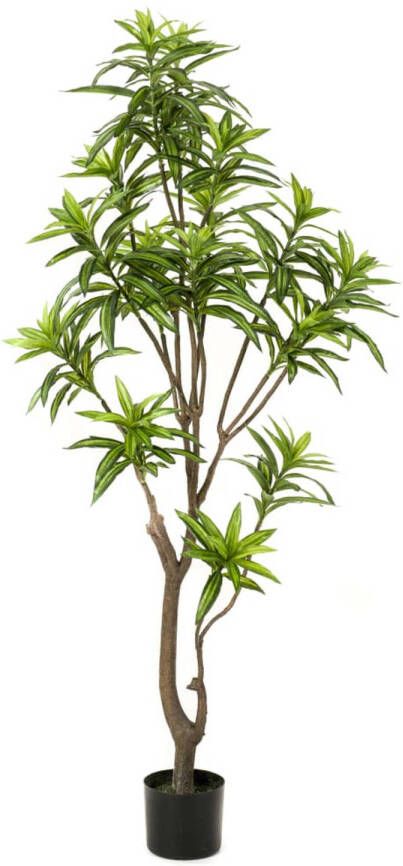 Emerald Kunstplant dracaena 155 cm groen