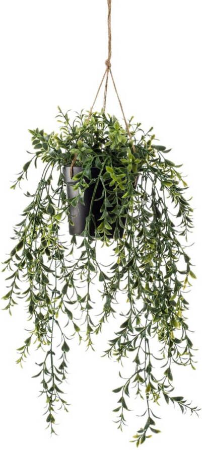 Emerald Kunstplant hangend in pot buxus 50 cm