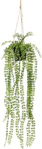 Merkloos Groene Ficus Pumila kunstplant 60 cm in hangende pot Kunstplanten nepplanten