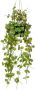 Emerald Kunstplant hangend in pot lantaarnplant 50 cm - Thumbnail 1