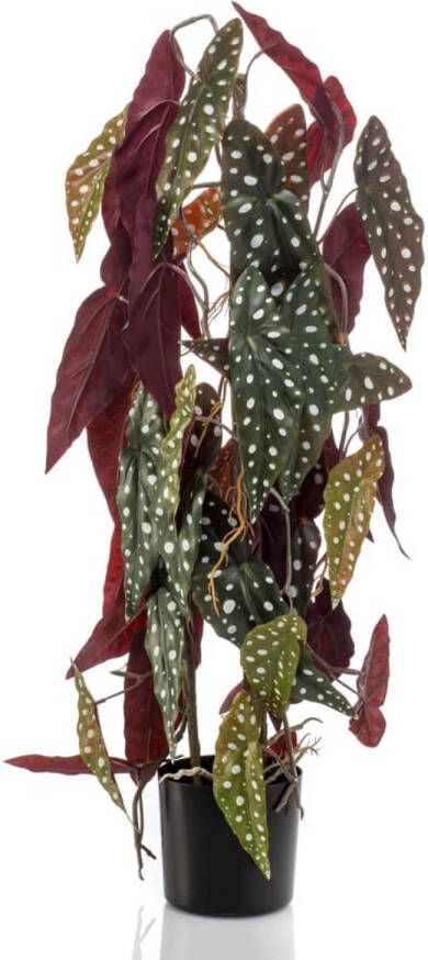 Emerald Kunstplant in pot stippenbegonia 75 cm