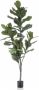 Emerald Kunstplant vioolbladplant 160 cm - Thumbnail 1