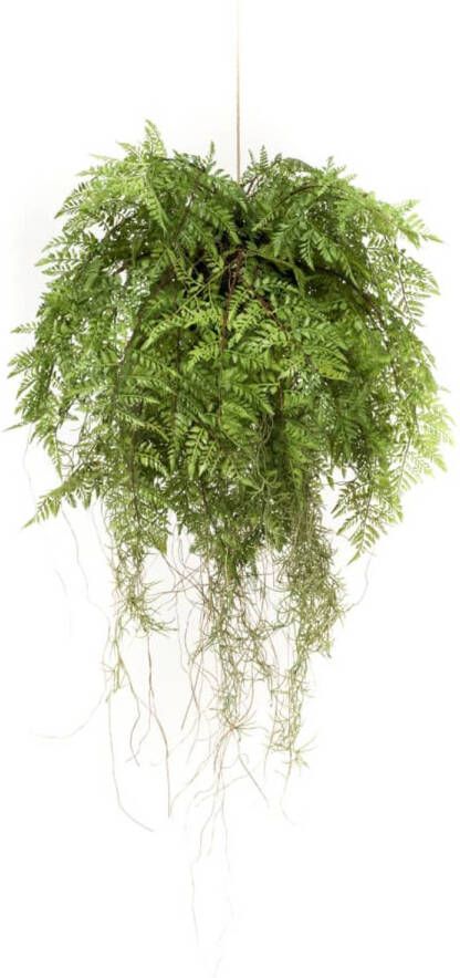 Emerald Easyplants Kunst Varen Hangplant Met Wortels D55cm