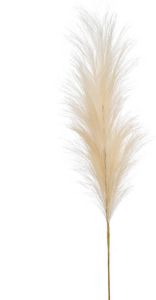 Emerald Pampasgras pluim losse steel tak creme wit 115 cm Decoratie kunst graspluimen Kunsttakken