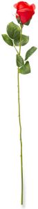 Emerald Roos Rood 54 Cm