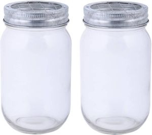Esschert Design 2x stuks glazen bloemenvaasjes jars met schikdeksel 13 cm Bloempotjes voor binnen Kruidenpotjes Vazen