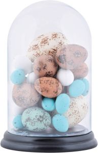 Esschert Design Eieren In Stolp 16 4 X 25 Cm Hout glas