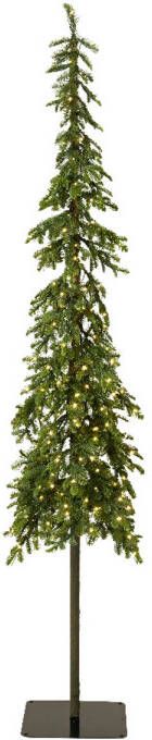 Everlands Alpine fir prelit d60h240 cm groen wwt kerst