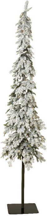 Everlands Alpine fir prelt h240 cm groen wt wwt kerst