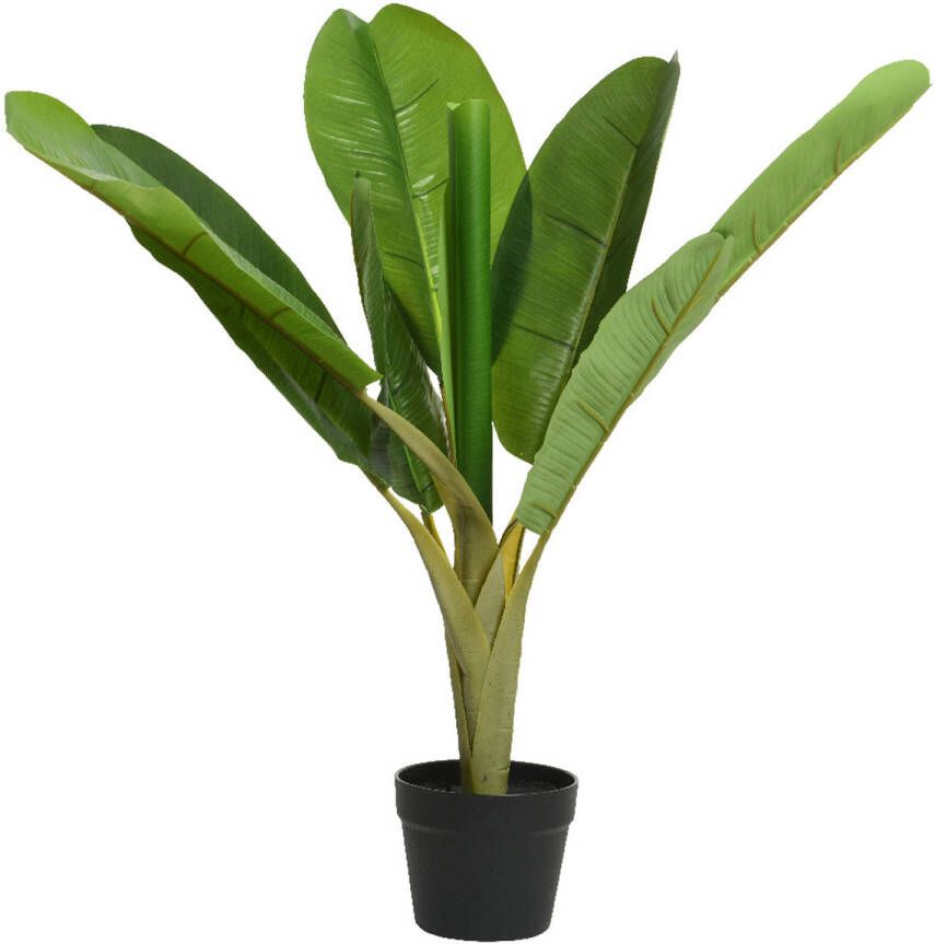 Everlands Kunst bananenplant in pot H75 cm groen Kunstplanten