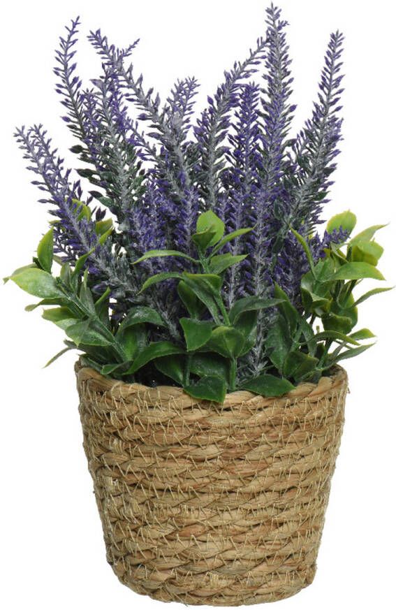 Everlands Lavendel kunstplant in gevlochten plantenmand paars D12 x H26 cm Kunstplanten