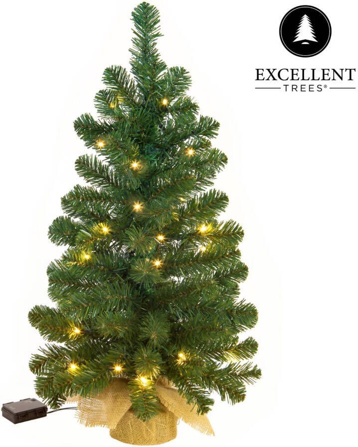 Excellent Trees Mini Kerstboom LED Jarbo 75 cm met verlichting Hoogwaardig met 55 Lampjes Groen
