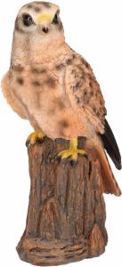 Farmwood Animals Dieren decoratie beeldjes torenvalk roofvogel van 22 cm Beeldjes