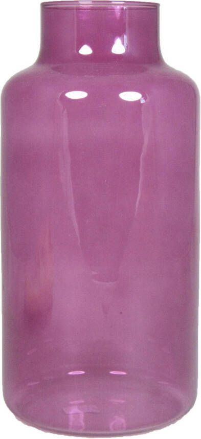 Floran Bloemenvaas paars transparant glas H30 x D15 cm Vazen