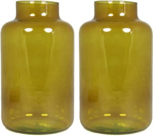 Floran Set van 2x bloemenvazen okergeel transparant glas H25 x D15 cm Vazen