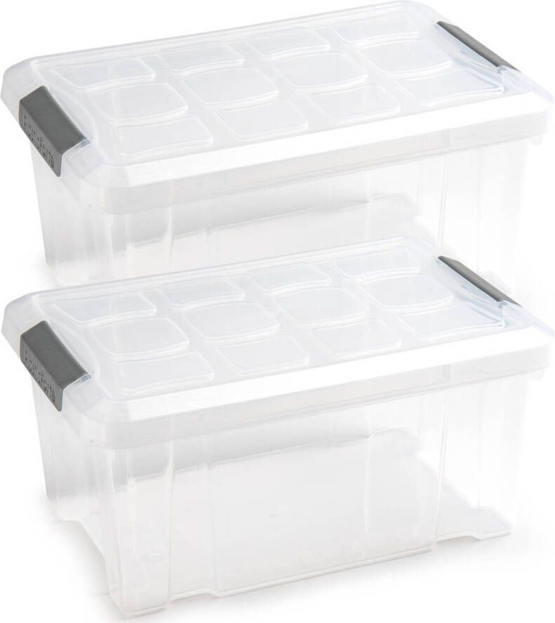 Forte Plastics 3x Opslagbakken organizers met deksel 5 liter 29 cm transparant Opbergbox