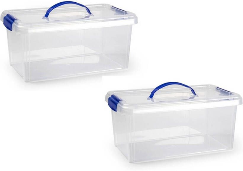 Forte Plastics 2x stuks opslagbak organizer met deksel 10 liter transparant Opbergbakken 38 5 x 23 x 17 5 cm Opbergbox