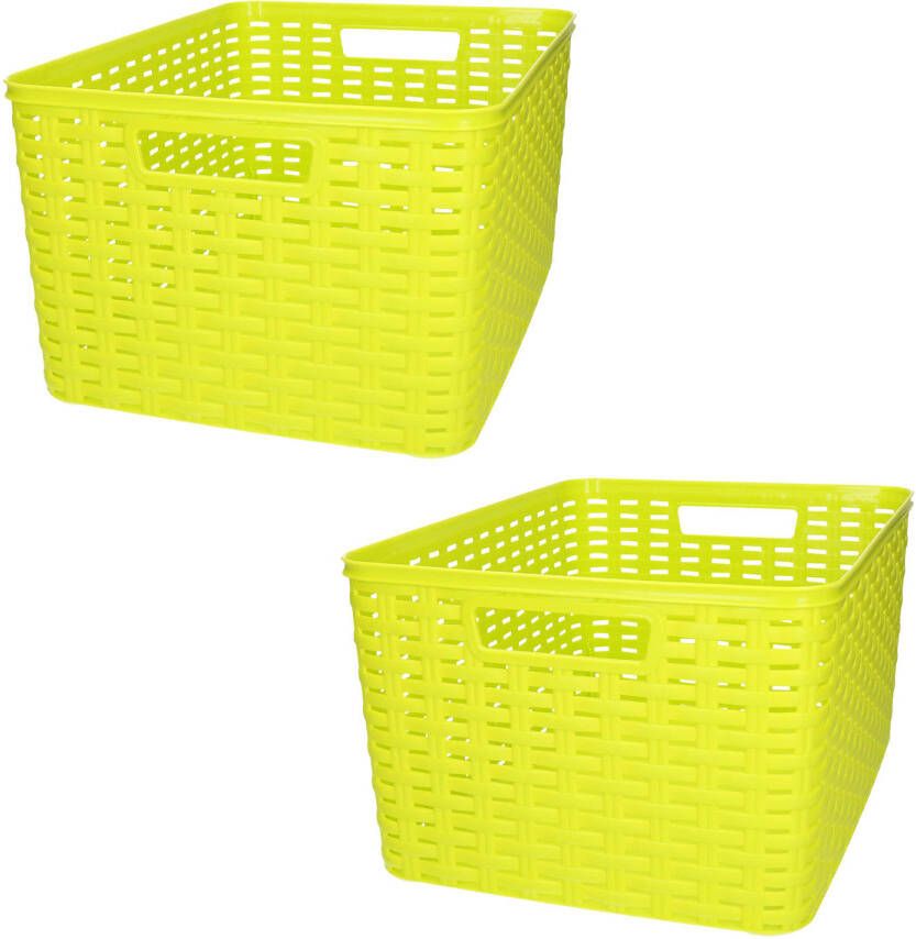 Forte Plastics Plasticforte opbergmand kastmandje 2x 18 liter groen kunststof 28 x 38 x 19 cm Opbergbox