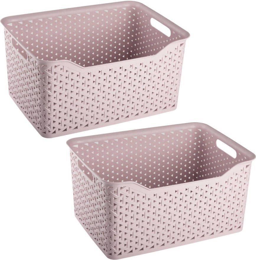Forte Plastics Plasticforte opbergmand kastmandje 2x 18 liter roze kunststof 29 x 39 x 19 cm Opbergbox