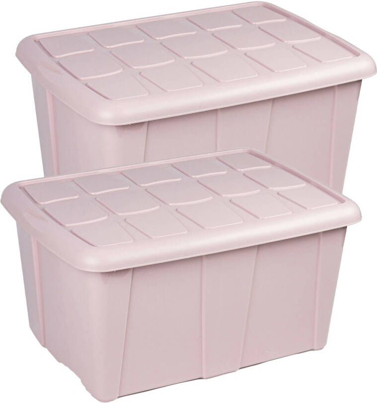 Forte Plastics Opslagbox kist van 60 liter met deksel 2x Lichtroze kunststof 63 x 46 x 32 cm Opbergbox