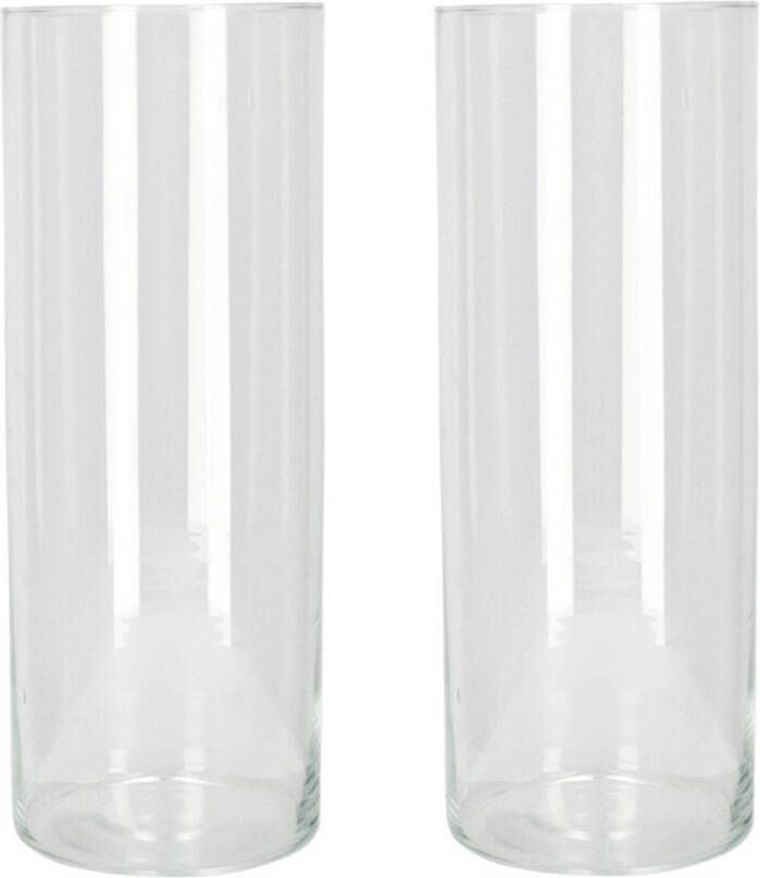 Gerimport Set van 2x stuks bloemenvaas vazen van transparant glas 40 x 15 cm Vazen