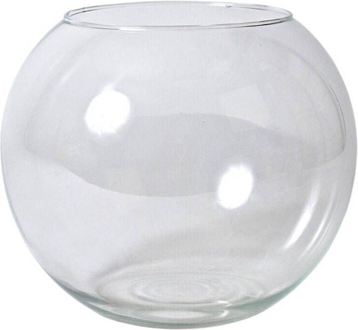 Gerimport Bol vaas terrarium D25 x H21 cm glas transparant Vazen