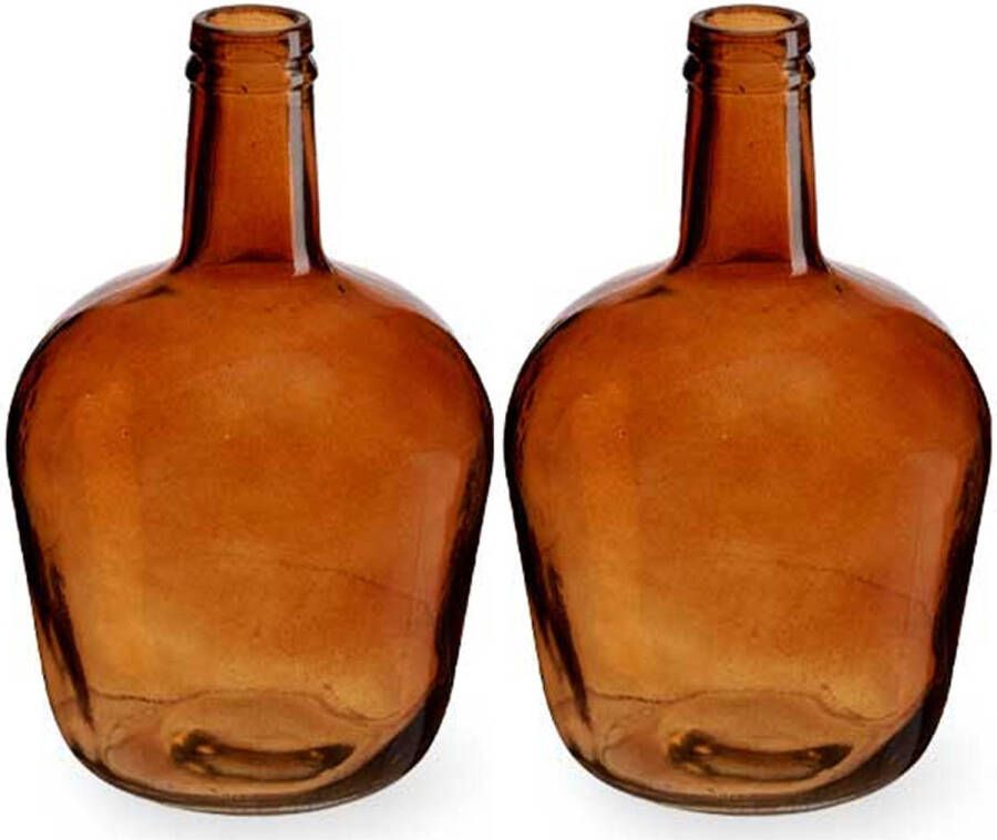 Giftdeco Bloemenvazen 2x stuks flessen model glas amber goud 19 x 31 cm Vazen