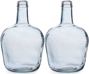 Giftdeco Bloemenvazen 2x Stuks Flessen Model Glas Blauw Transparant 19 X 31 Cm Vazen
