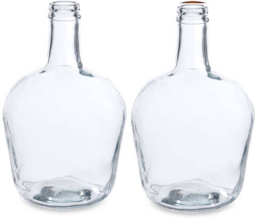 Giftdeco Bloemenvazen 2x stuks flessen model glas transparant 19 x 31 cm Vazen