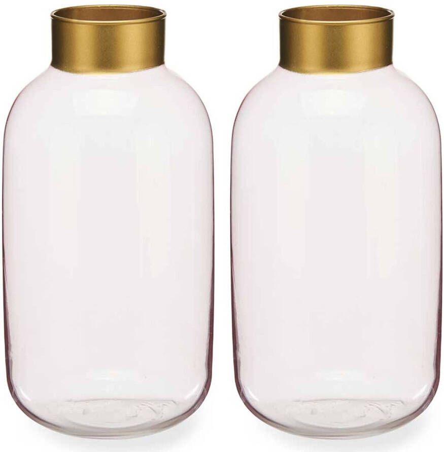 Giftdeco Bloemenvazen 2x stuks luxe decoratie glas roze transparant goud 14 x 30 cm Vazen