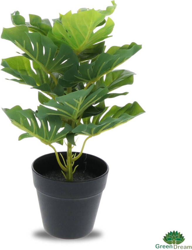 Merkloos Greendream Kunstplant Monstera Deliciosa Gatenplant Kamerplant 30 cm