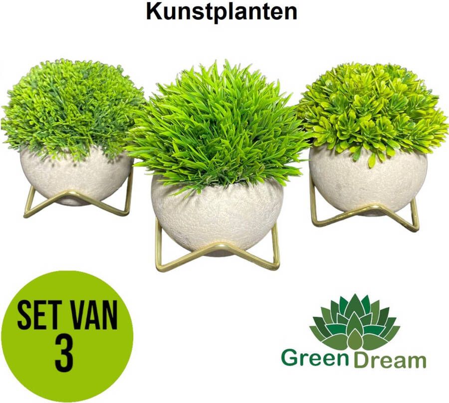 Merkloos GreenDream Kunstplanten voor binnen 15x12 cm -Set van 3 stuks Vetplanten Decoratie
