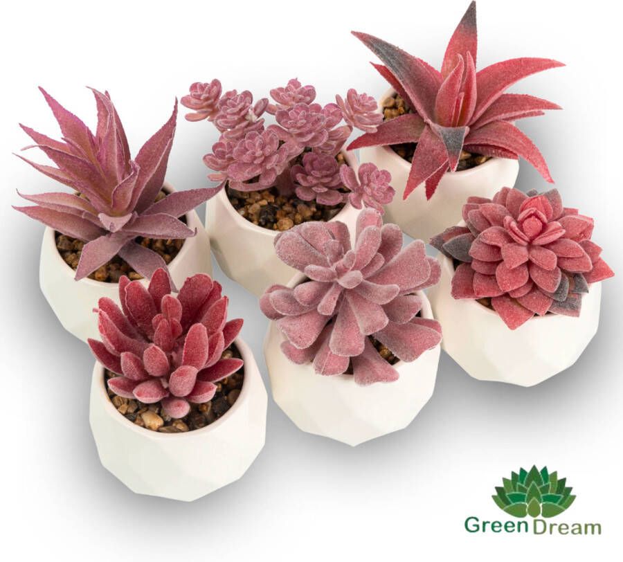 GreenDream set 6 stuks roze vetplanten in diamantvormig potje cadeautip kunstplanten Wit Roze