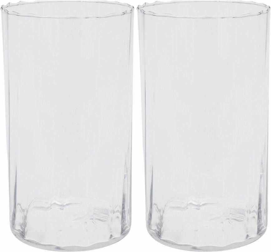 H&S Collection HS Collection Bloemen vaas 2x stuks glas transparant H22 cm Vazen