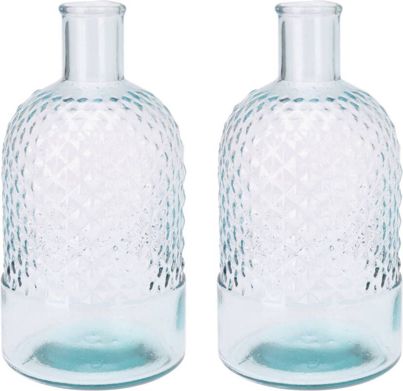 H&S Collection Fles Bloemenvaas Salerno 2x Gerecycled glas transparant D12 x H23 cm Vazen
