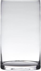 Hakbijl Glass Transparante home-basics Cilinder vorm vaas vazen van glas 25 x 15 cm Bloemen takken boeketten vaas voor binnen gebruik Vazen