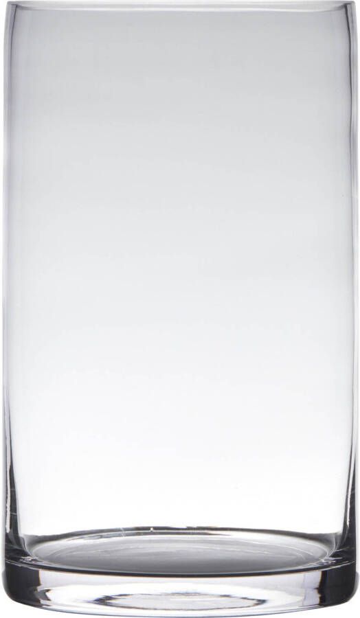 Hakbijl Glass Transparante home-basics Cilinder vorm vaas vazen van glas 30 x 15 cm Bloemen takken boeketten vaas voor binnen gebruik Vazen