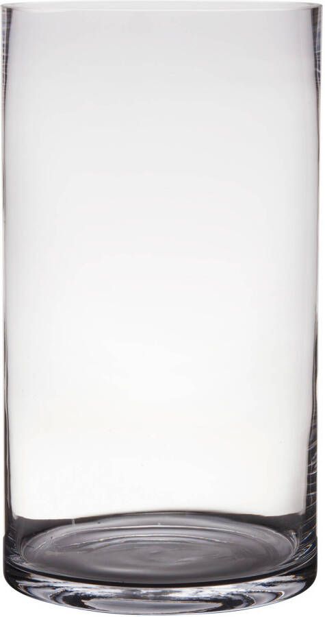 Hakbijl Glass Glazen bloemen cylinder vaas vazen 40 x 25 cm transparant Vazen