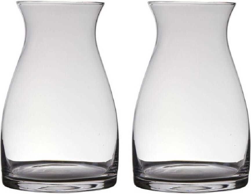 Hakbijl Glass Set van 2x stuks transparante home-basics vaas vazen van glas 20 x 15 cm Bloemen takken boeketten vaas voor binnen gebruik Vazen