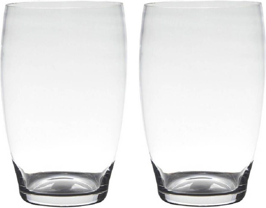Hakbijl Glass Set van 2x stuks transparante home-basics vaas vazen van glas 20 x 15 cm Naomi Vazen